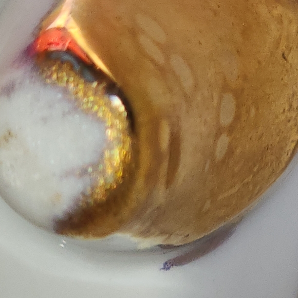 24Kt Gold Trim Footed Demi Tasse and Saucer - Picture 4 of 11